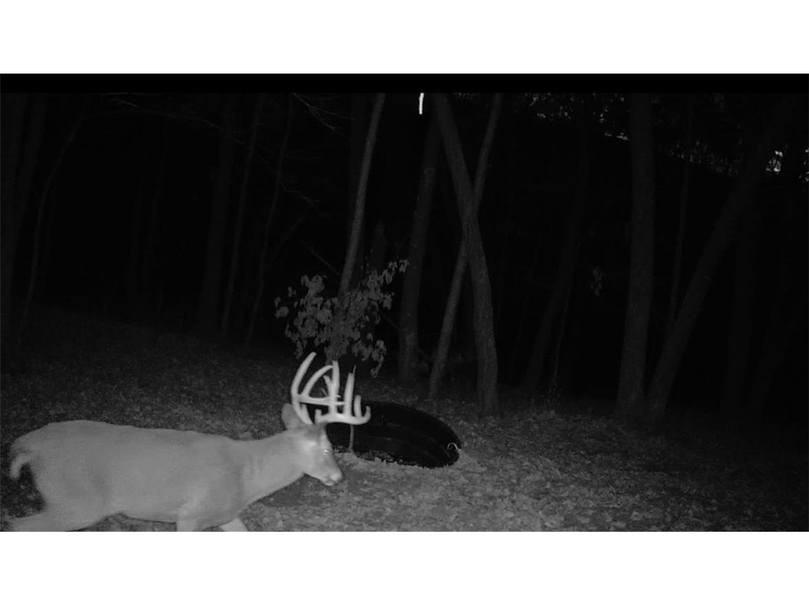 0 County Kk Alma WI 54610 1596932 image60