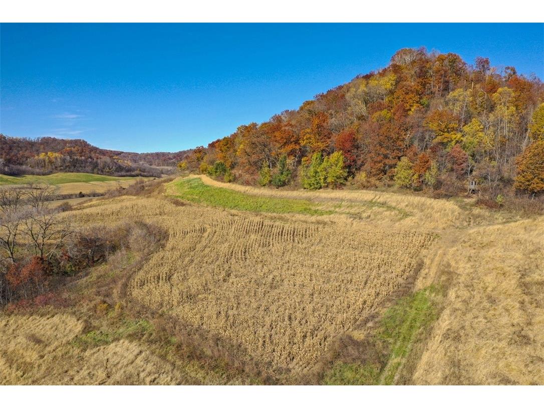 0 County Kk Alma WI 54610 1596932 image7