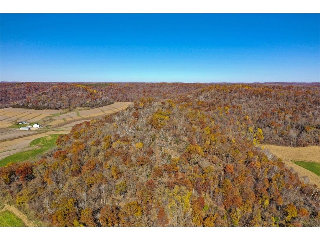 0 County Kk Alma WI 54610 1596932 image9