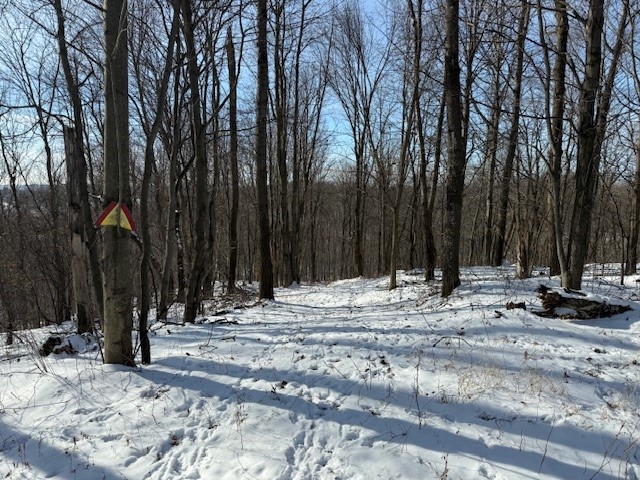 0 County Rd E Osseo WI 54758 1588791 image1