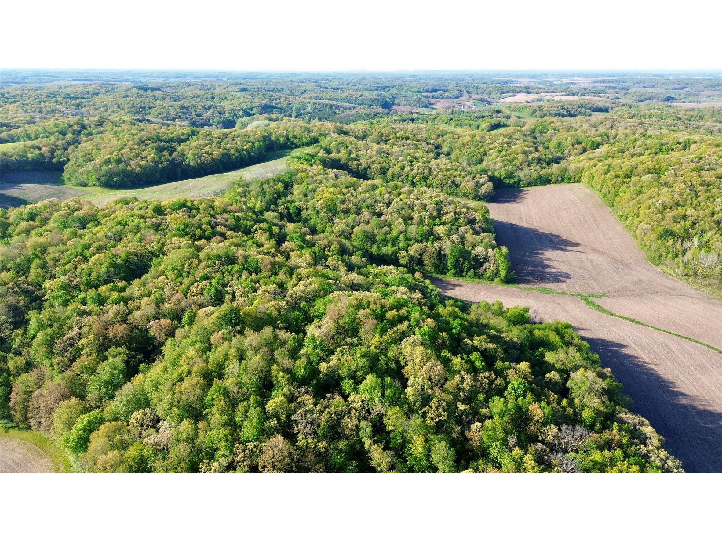 0 County Rd Oo Strum WI 54770 1601363 image1