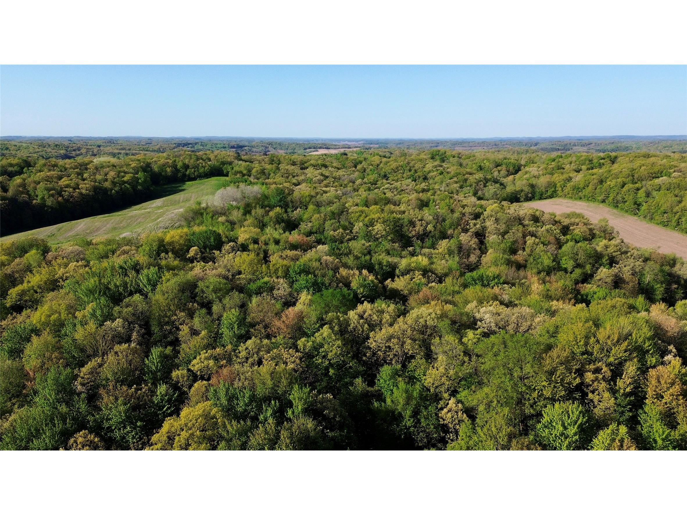 0 County Rd Oo Strum WI 54770 1601363 image16