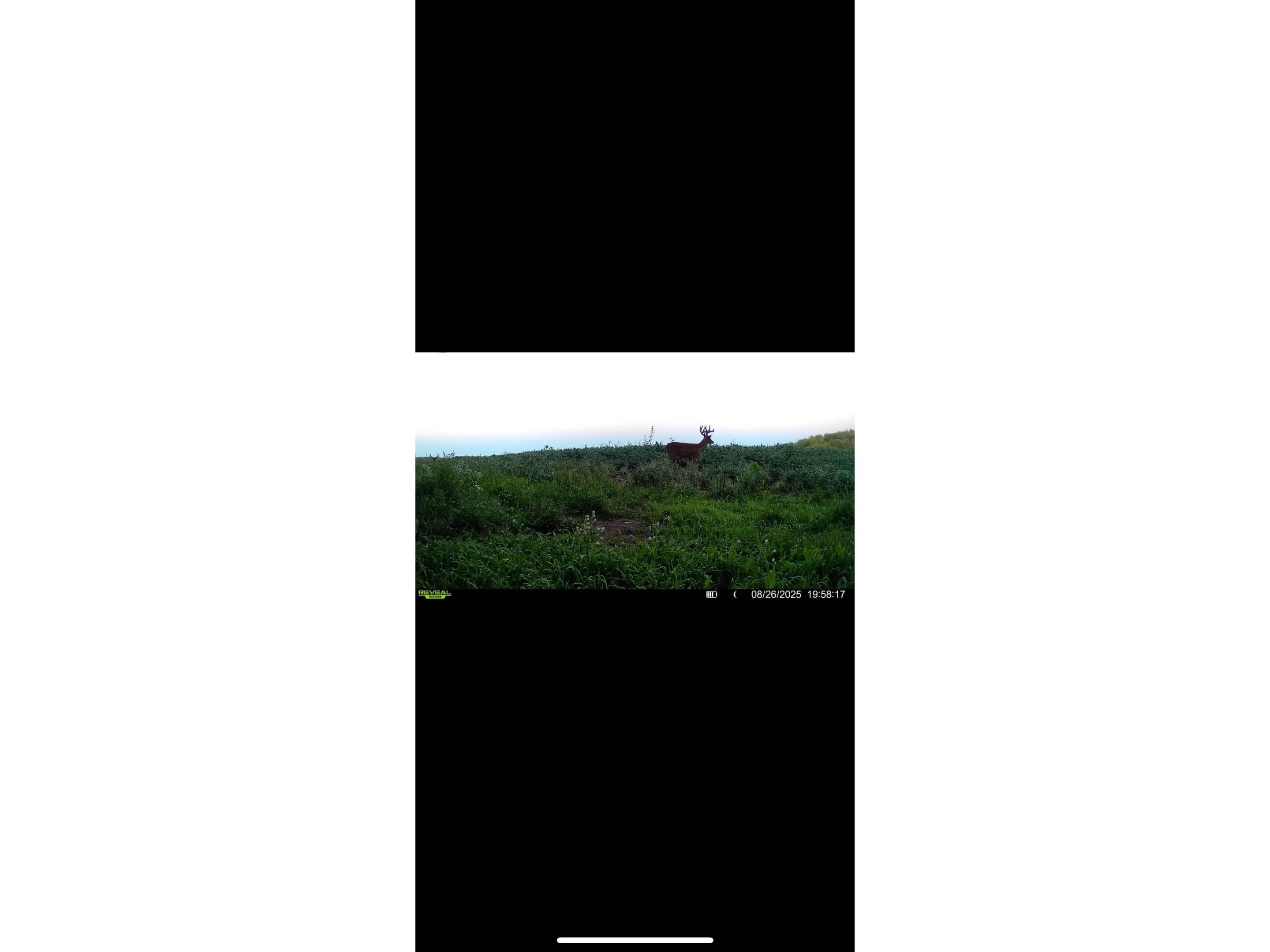 0 County Rd Oo Strum WI 54770 1601363 image23