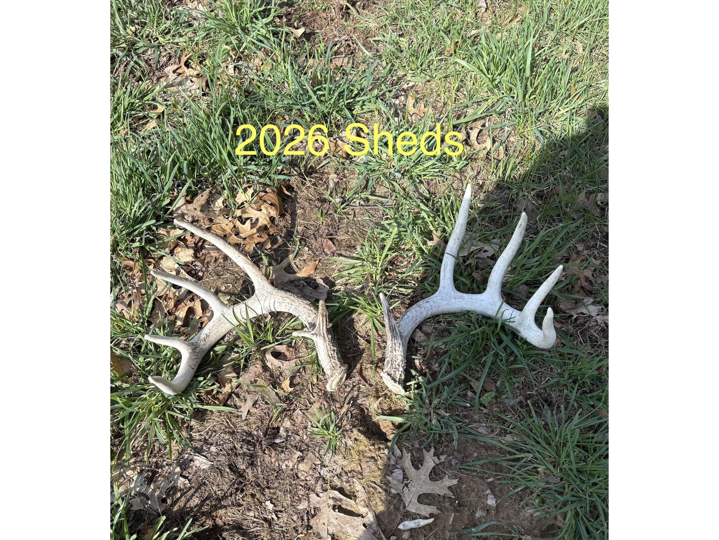0 County Rd Oo Strum WI 54770 1601363 image26