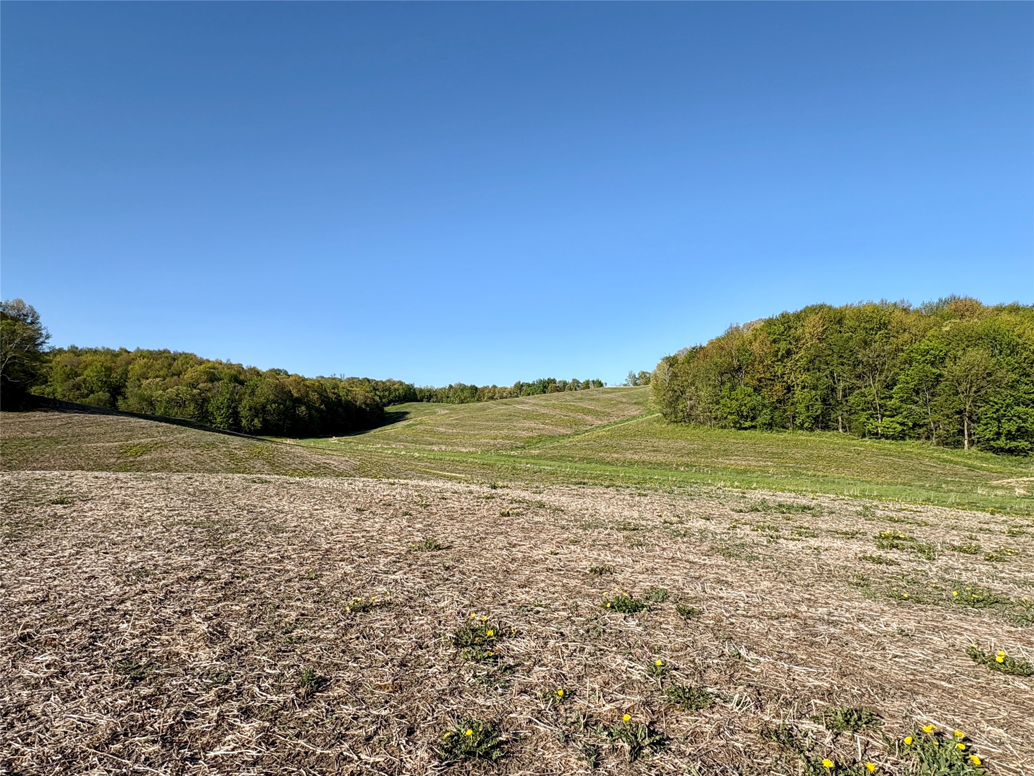 0 County Rd Oo Strum WI 54770 1601363 image30