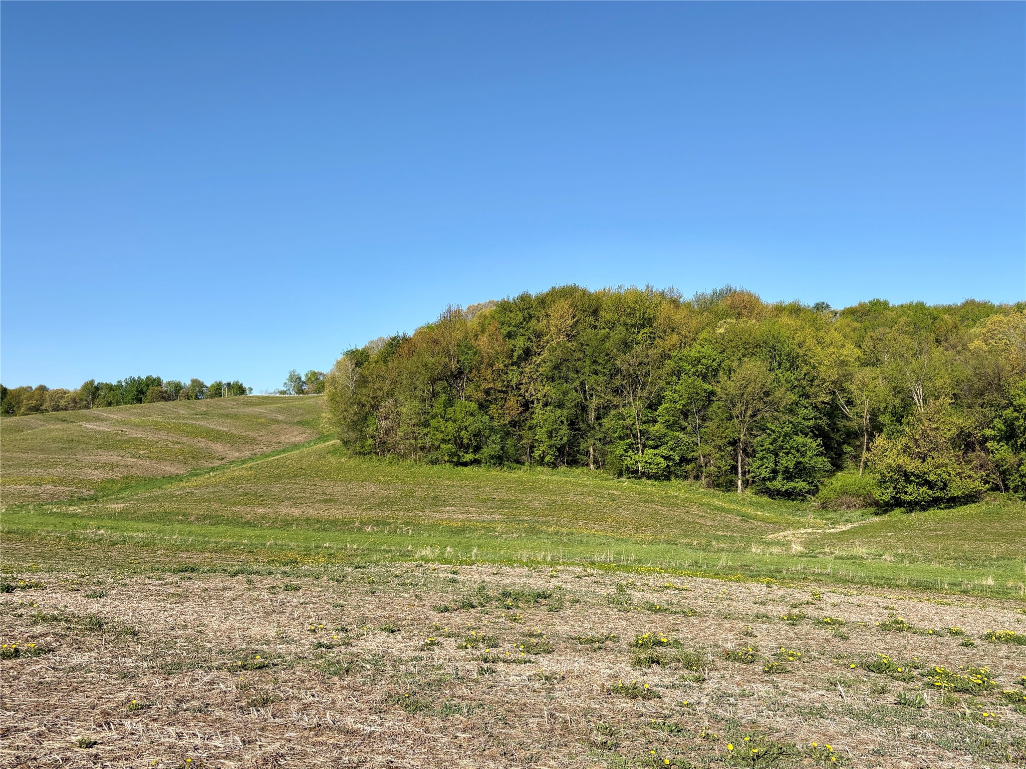 0 County Rd Oo Strum WI 54770 1601363 image31
