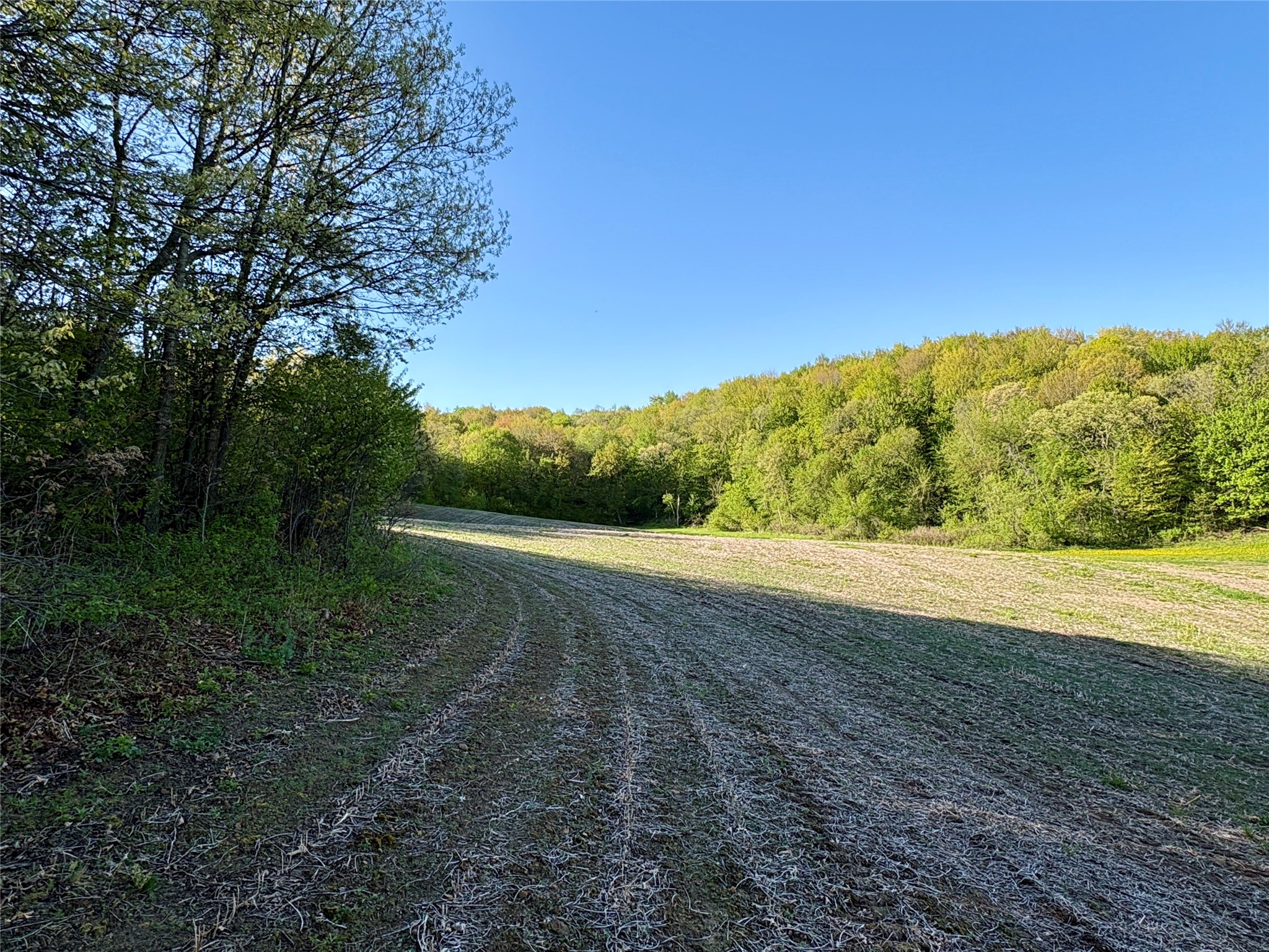 0 County Rd Oo Strum WI 54770 1601363 image32
