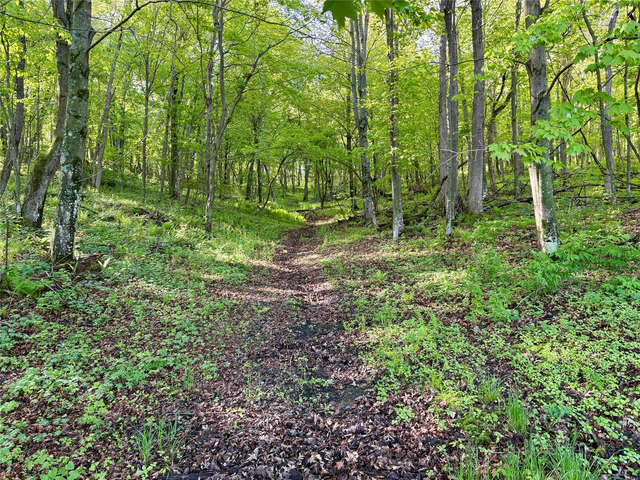 0 County Rd Oo Strum WI 54770 1601363 image37