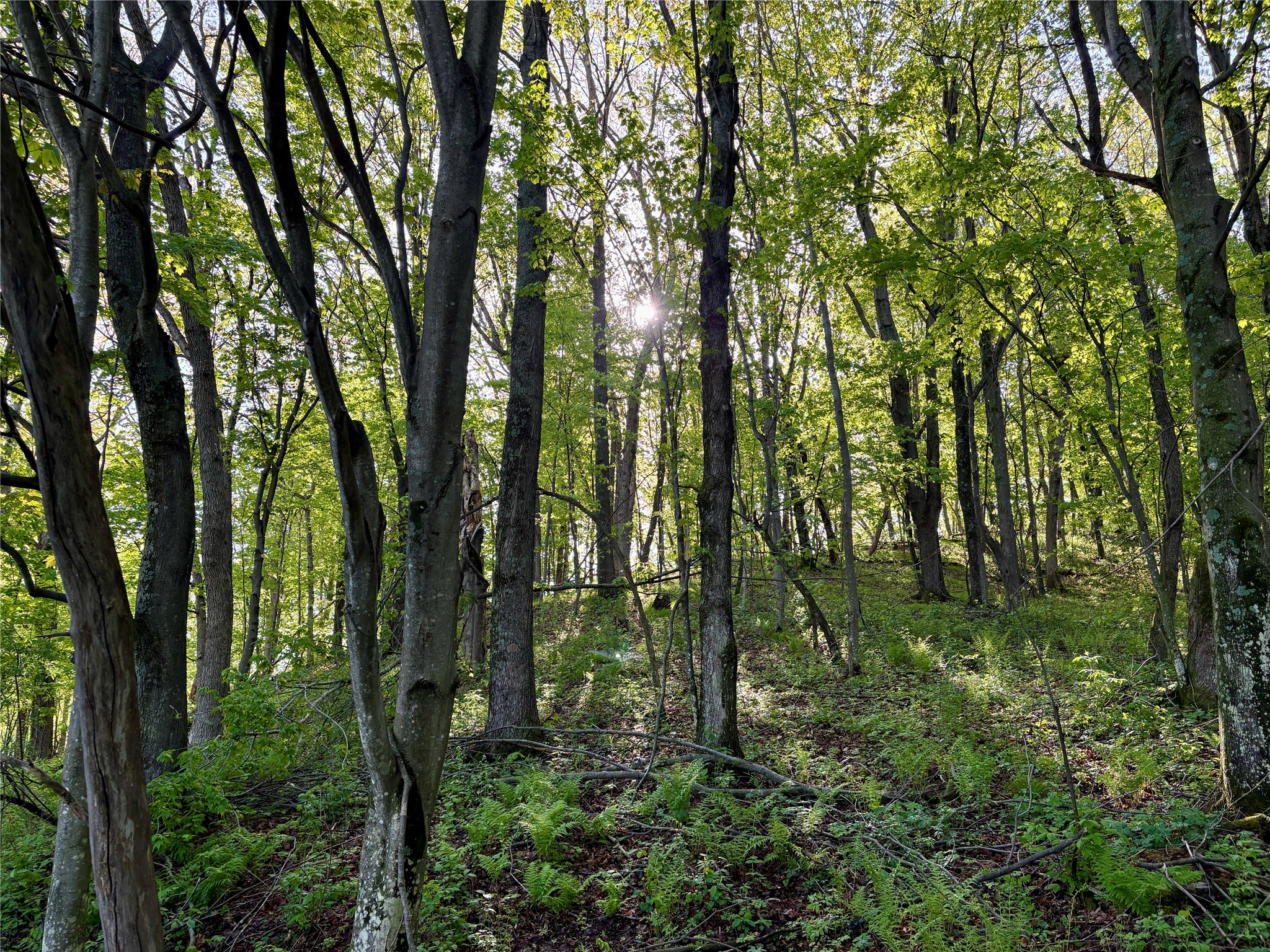 0 County Rd Oo Strum WI 54770 1601363 image38