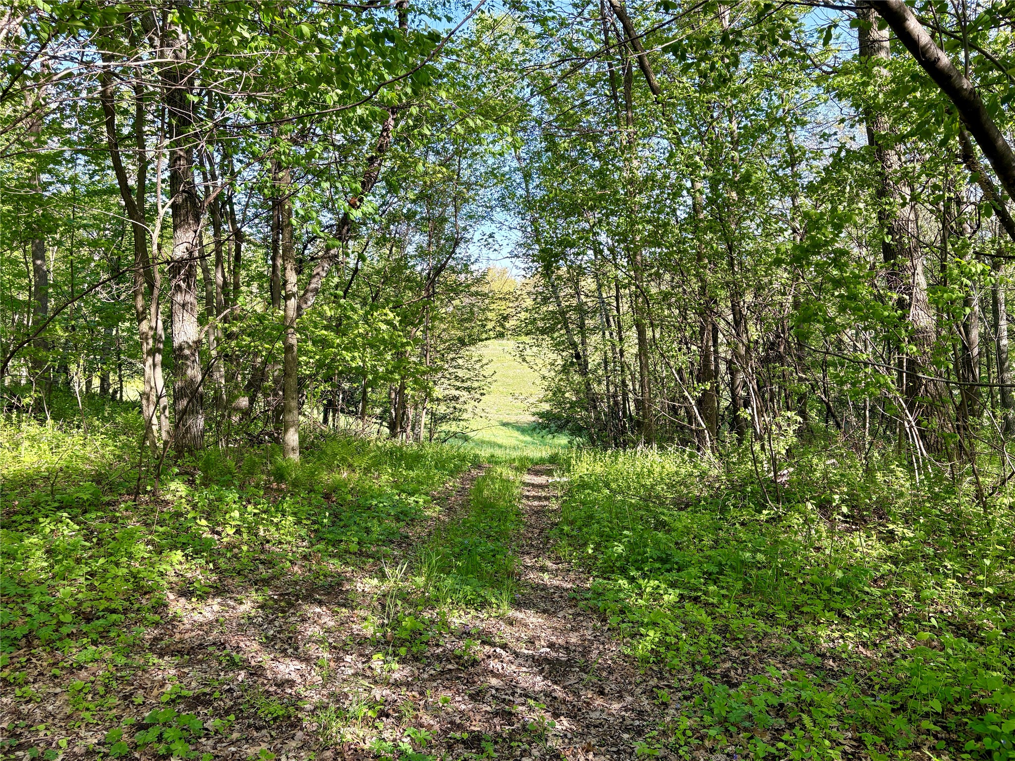 0 County Rd Oo Strum WI 54770 1601363 image41
