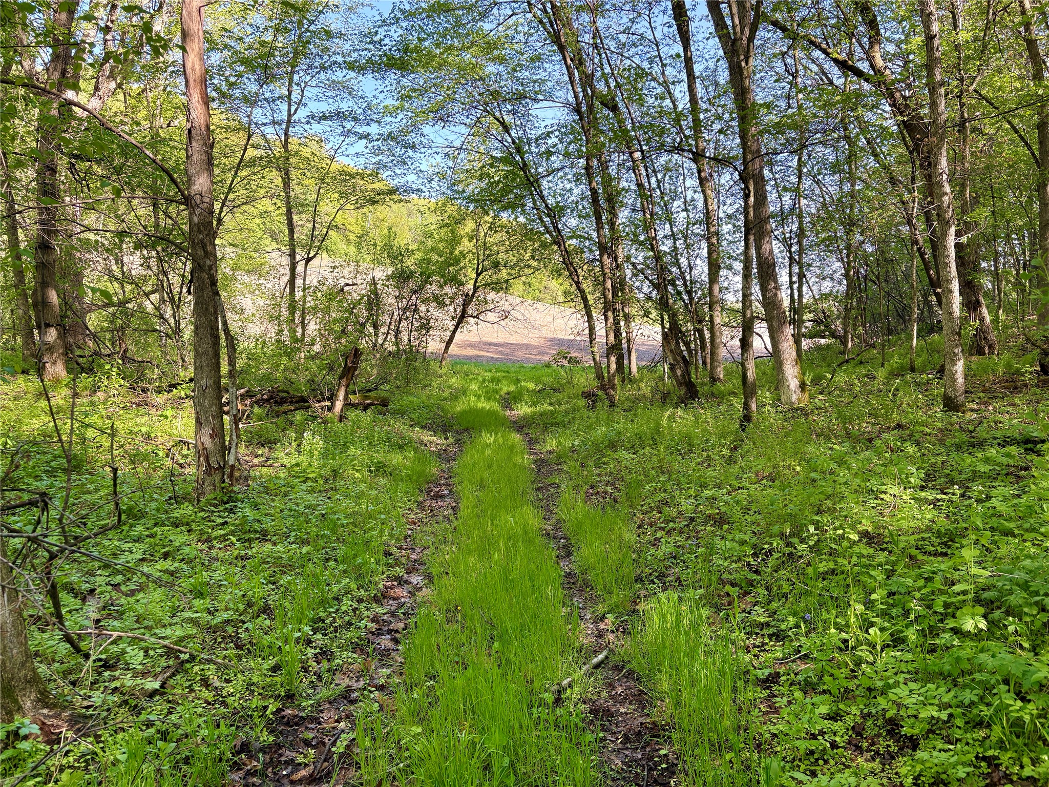 0 County Rd Oo Strum WI 54770 1601363 image46