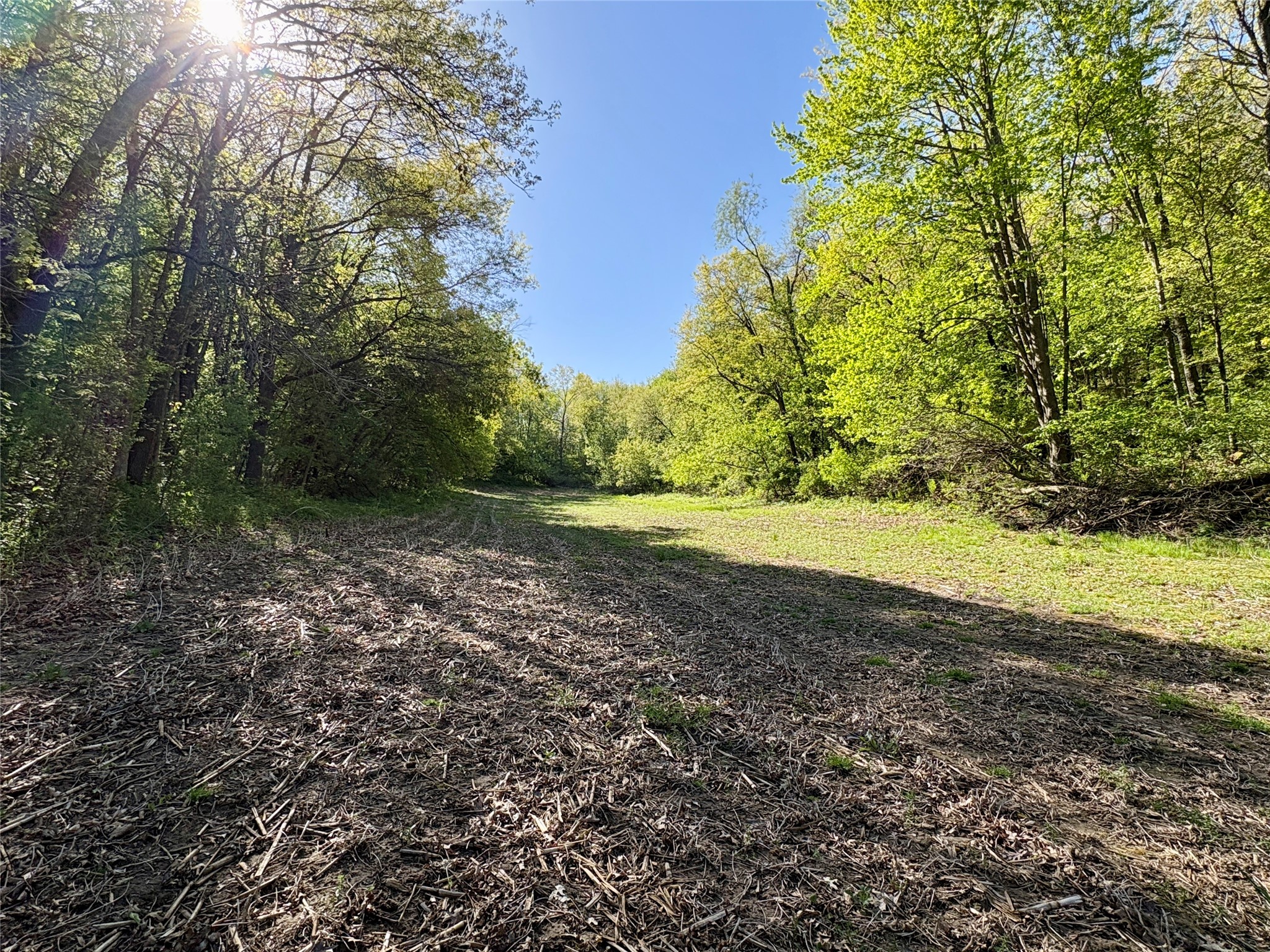 0 County Rd Oo Strum WI 54770 1601363 image49