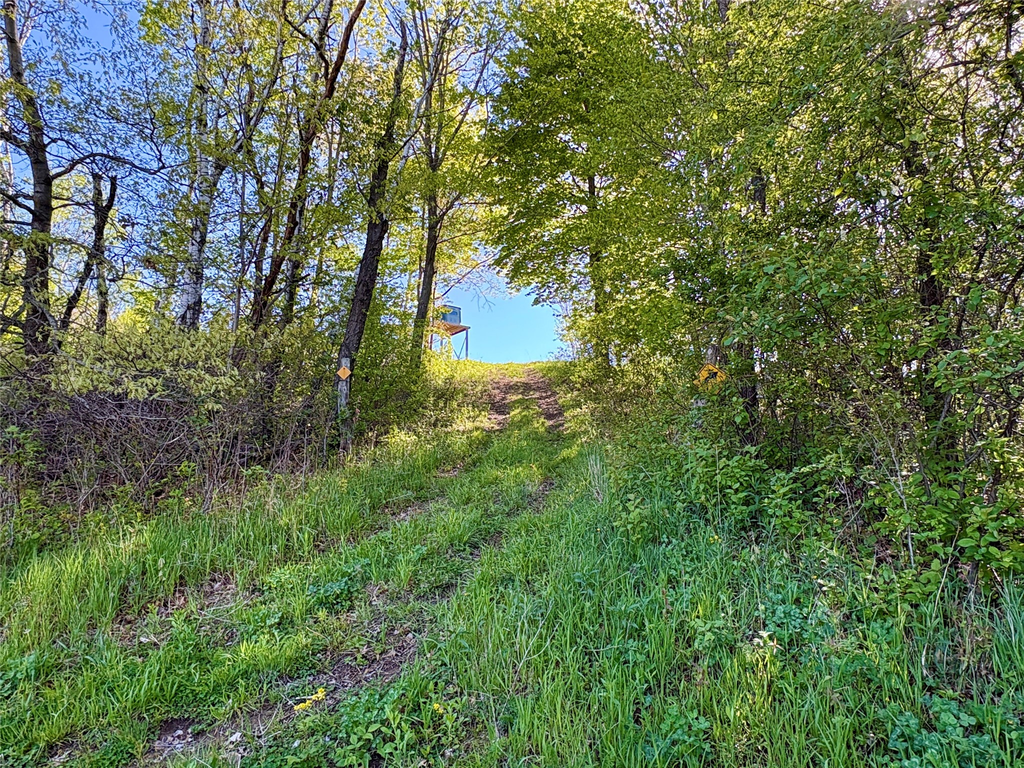 0 County Rd Oo Strum WI 54770 1601363 image50