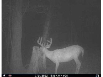 0 County Rd Oo Strum WI 54770 1601363 image57