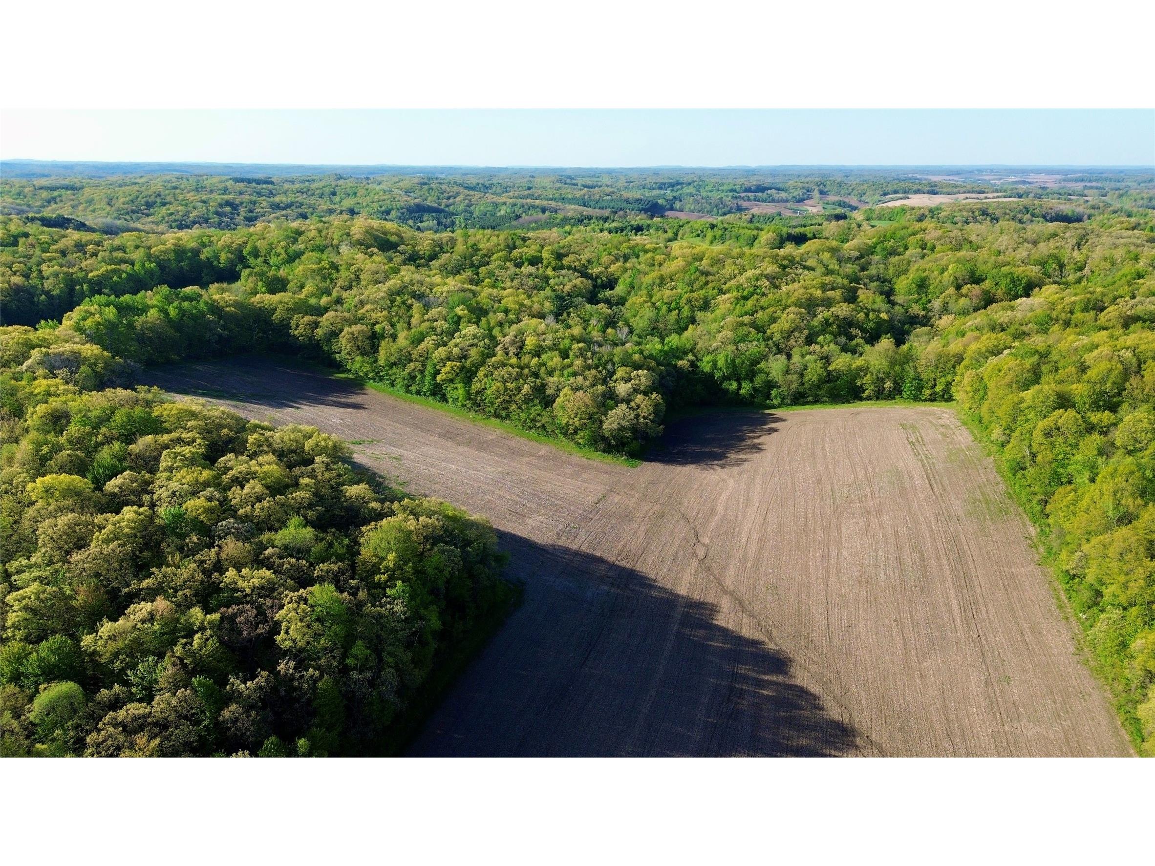 0 County Rd Oo Strum WI 54770 1601363 image6