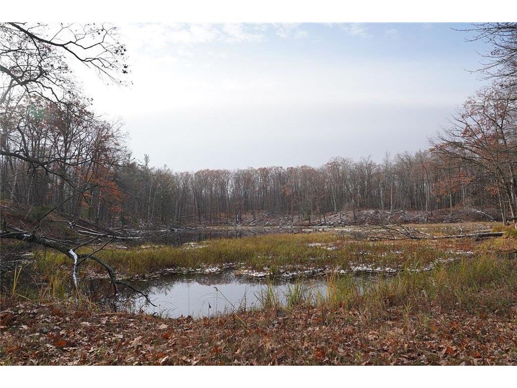 0 County Rd W Weyerhaeuser WI 54895 1578166 image1