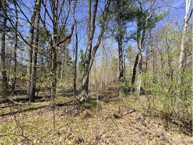 0 County Road B Hayward WI 54843 1601076 image1