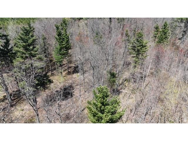 0 County Road B Hayward WI 54843 1601076 image5