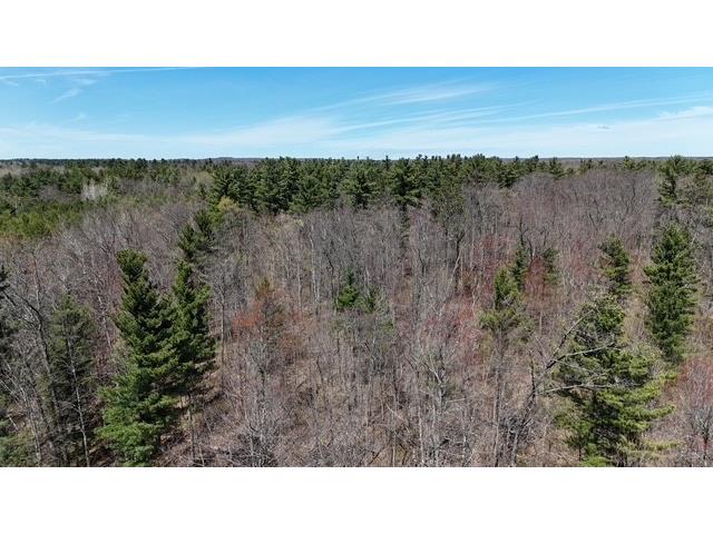 0 County Road B Hayward WI 54843 1601076 image6