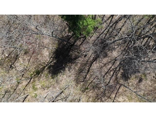 0 County Road B Hayward WI 54843 1601076 image7
