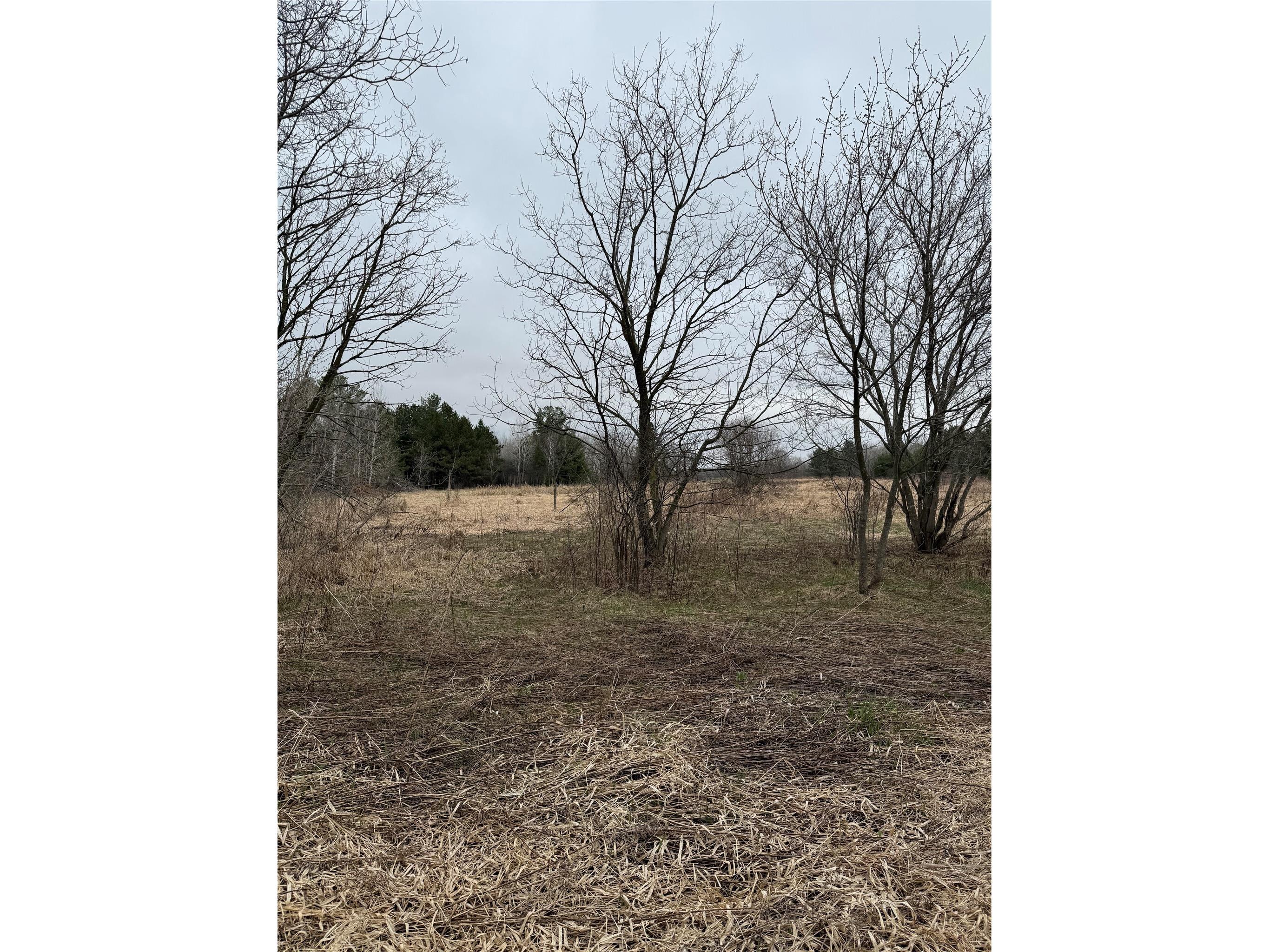 0 County Road Ee Elk Mound WI 54739 - Elk Creek 1600065 image10