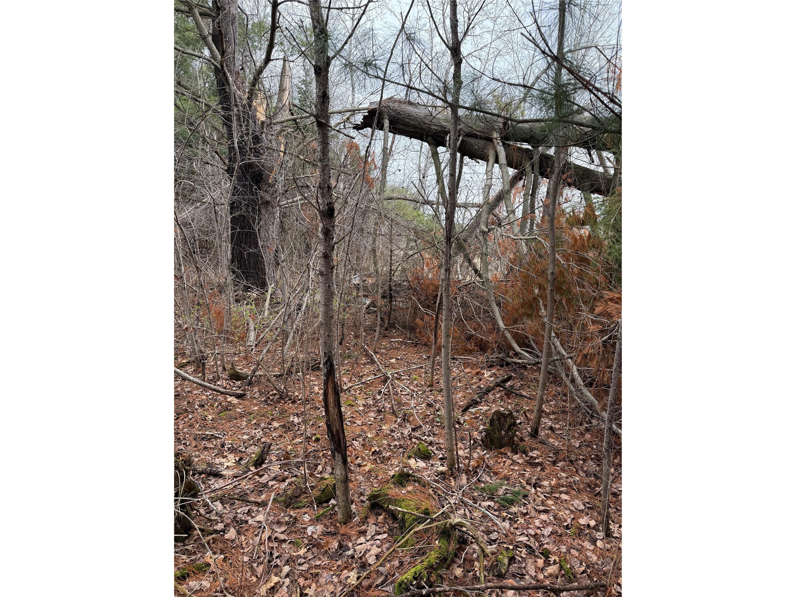 0 County Road Ee Elk Mound WI 54739 - Elk Creek 1600065 image12