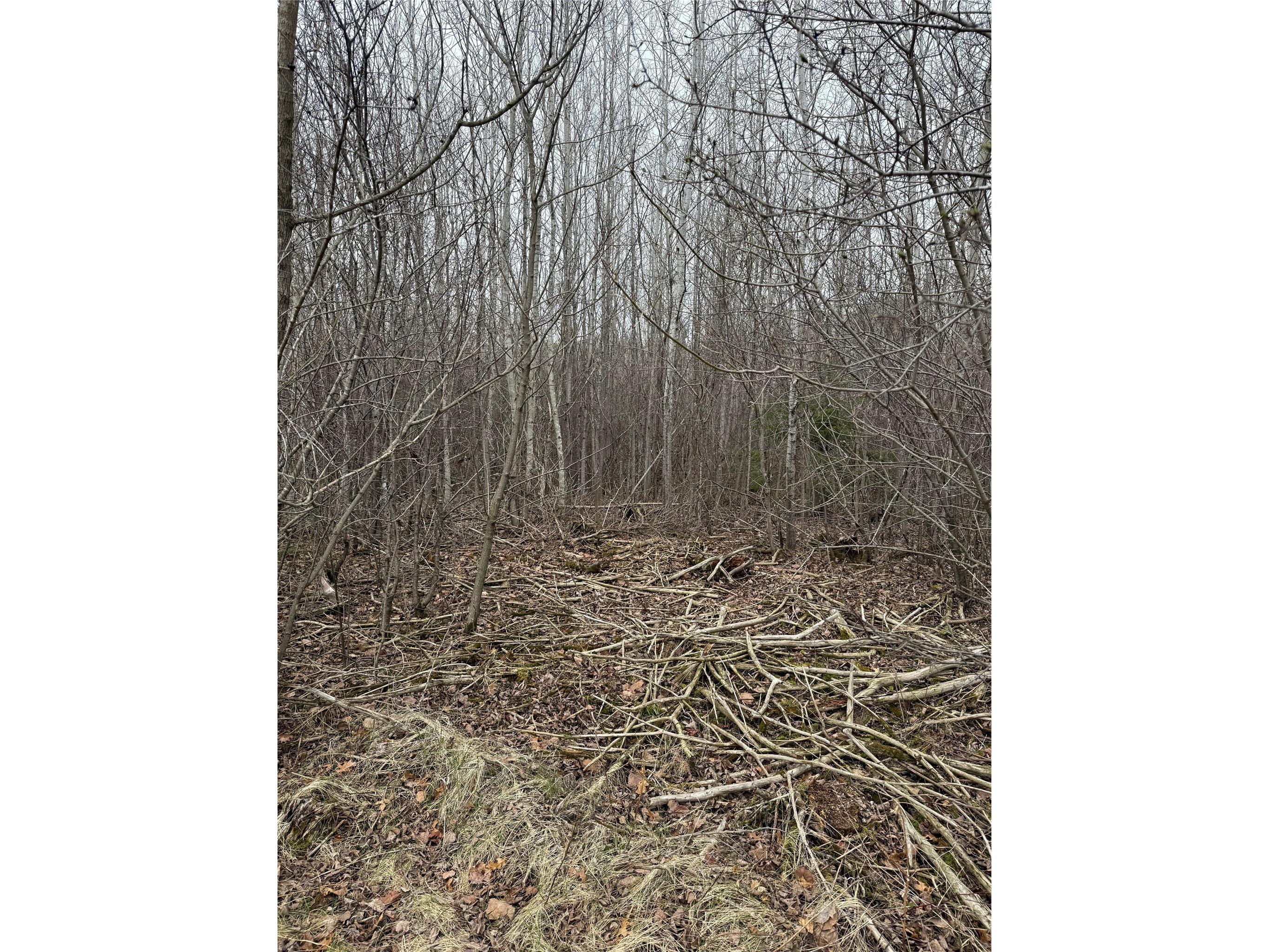0 County Road Ee Elk Mound WI 54739 - Elk Creek 1600065 image13