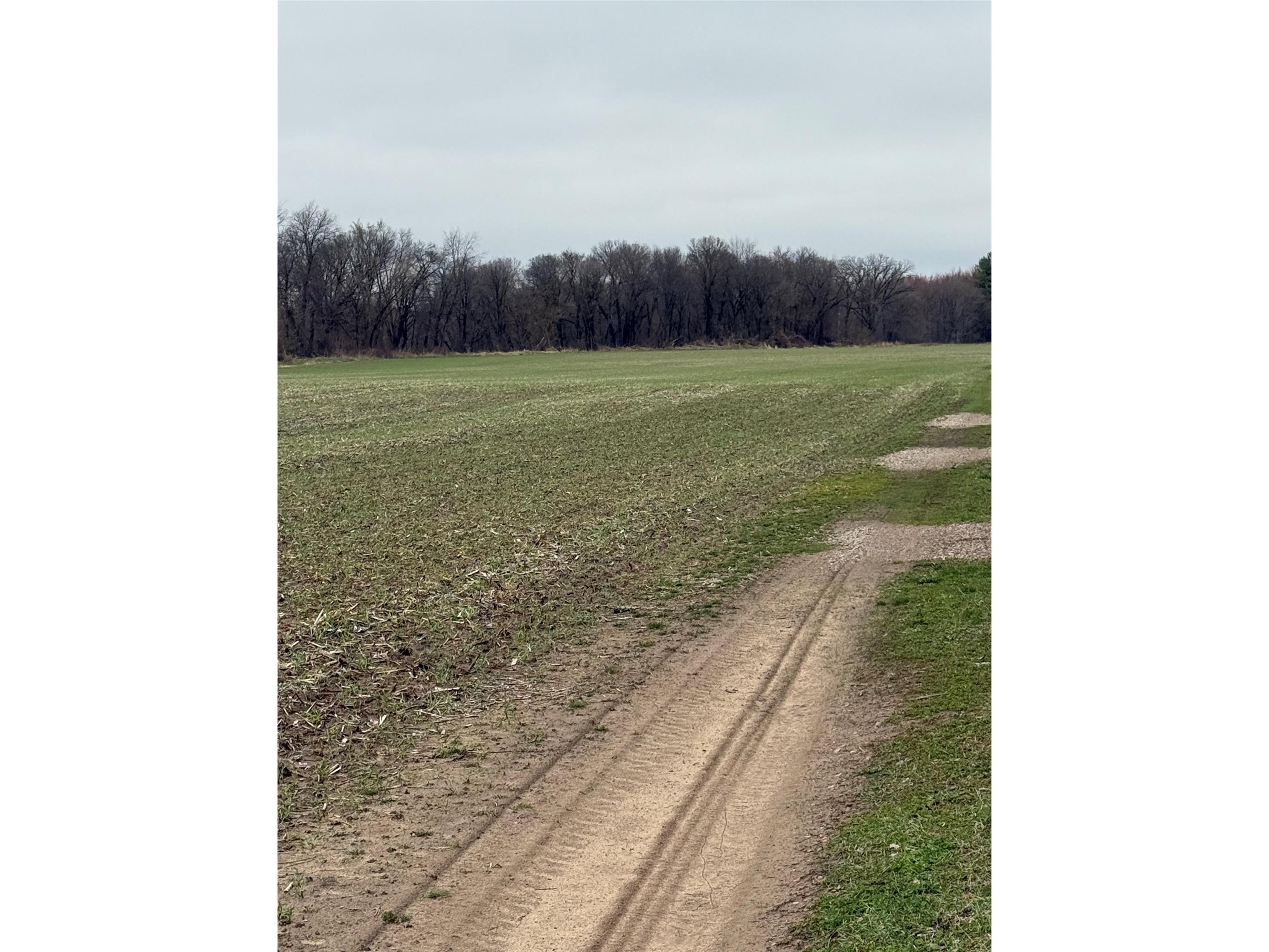 0 County Road Ee Elk Mound WI 54739 - Elk Creek 1600065 image14