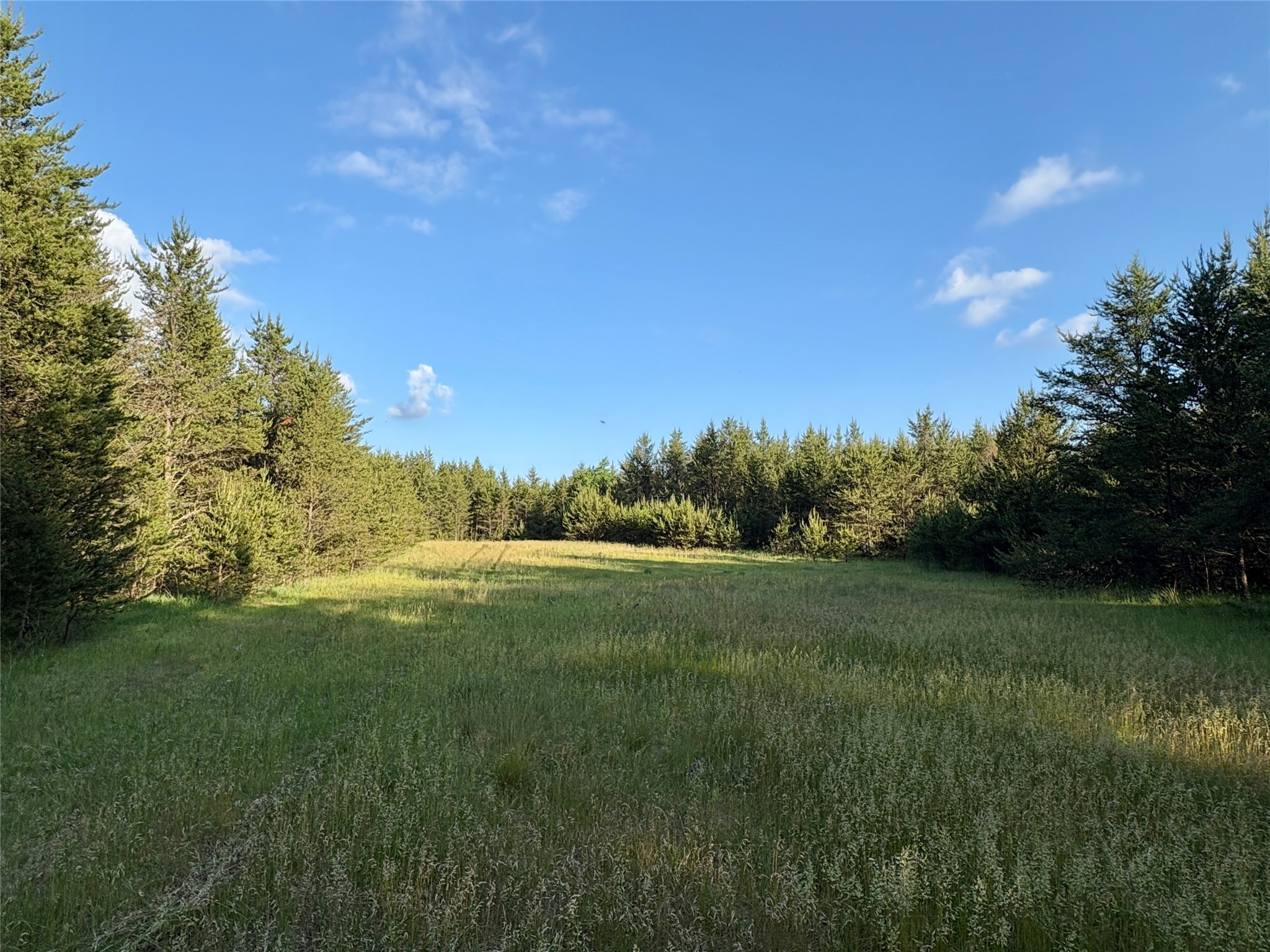 0 County Road Gg Augusta WI 54722 1602176 image1
