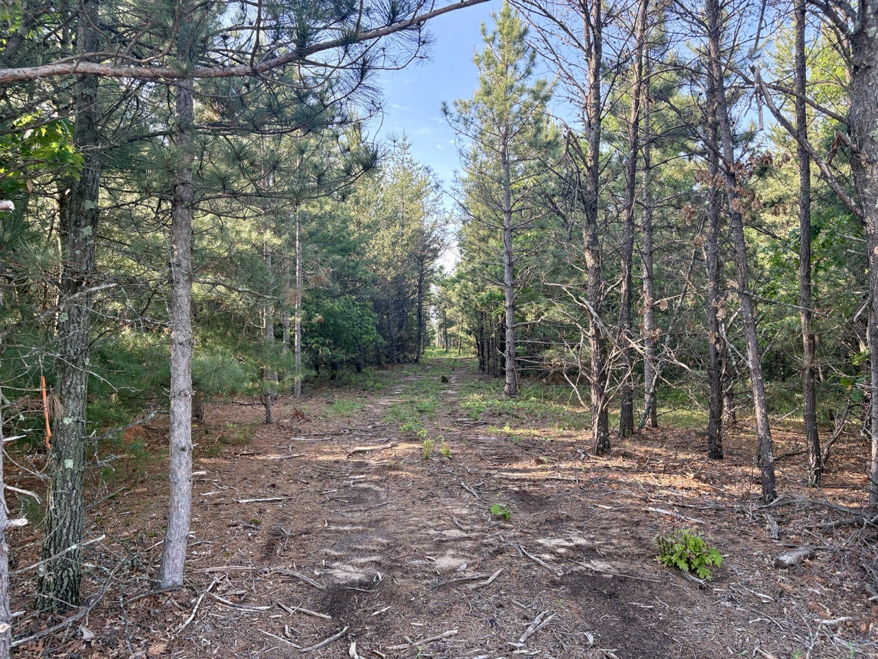 0 County Road Gg Augusta WI 54722 1602176 image21