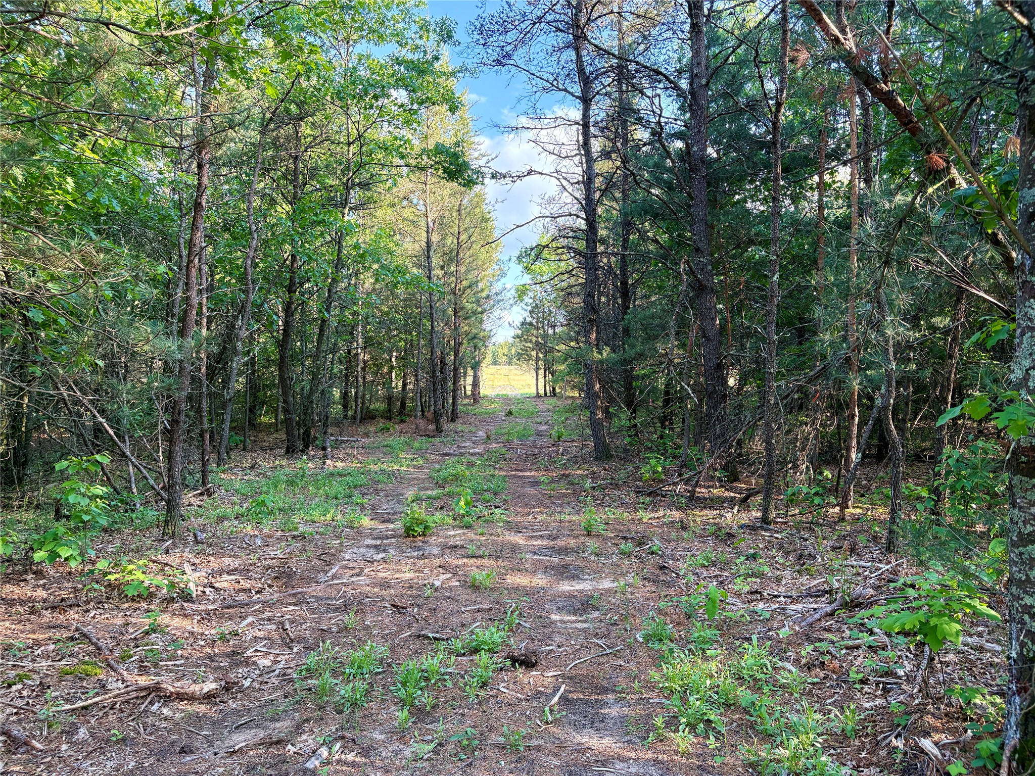 0 County Road Gg Augusta WI 54722 1602176 image22