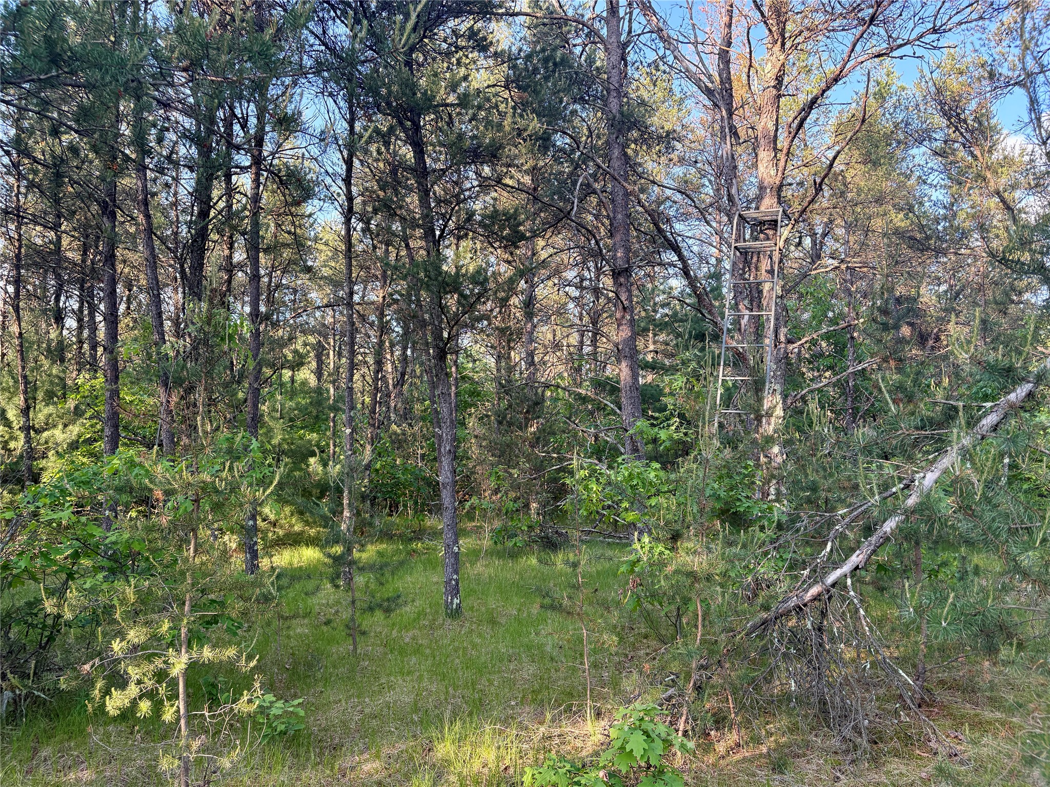 0 County Road Gg Augusta WI 54722 1602176 image31