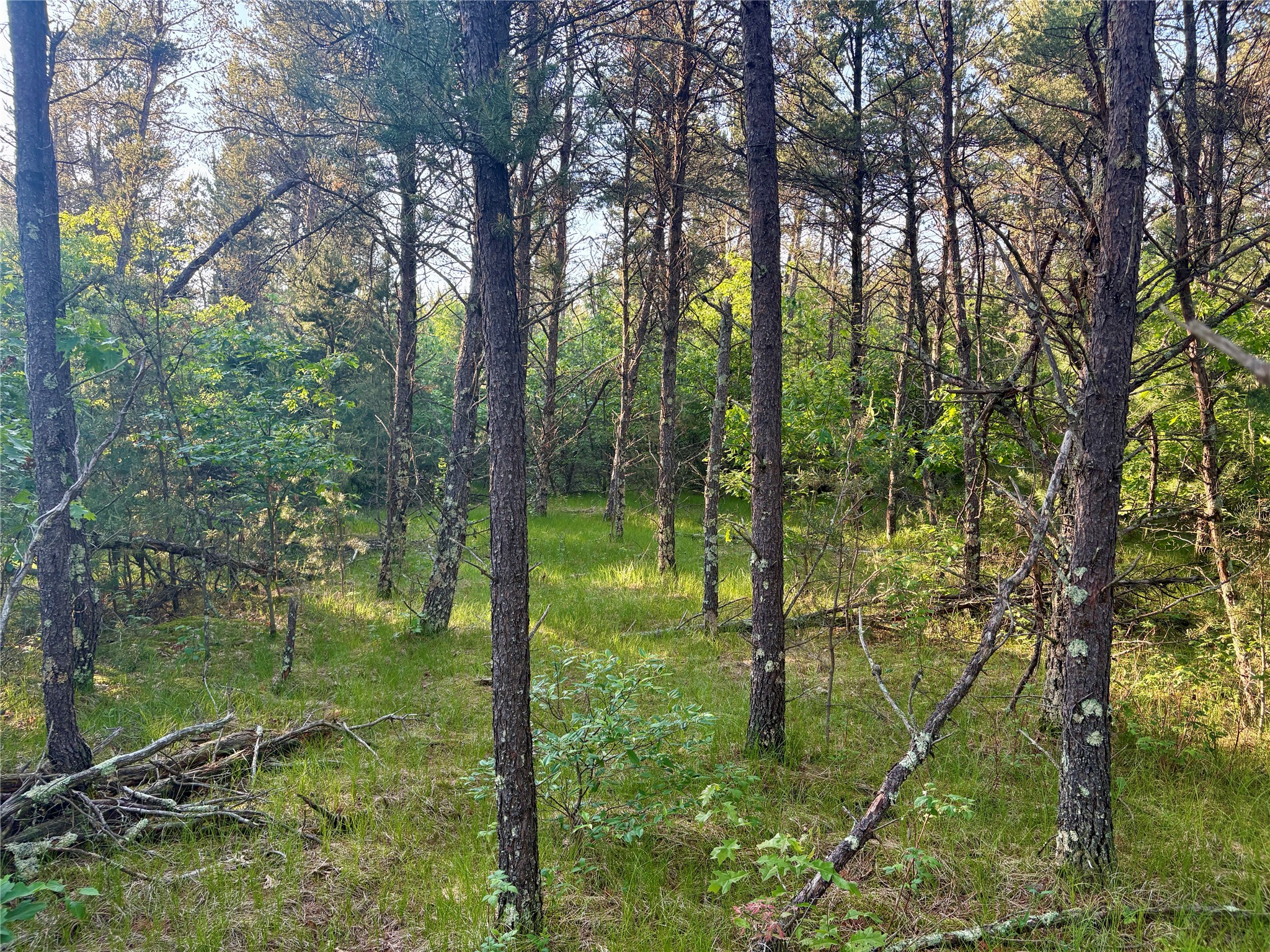 0 County Road Gg Augusta WI 54722 1602176 image32