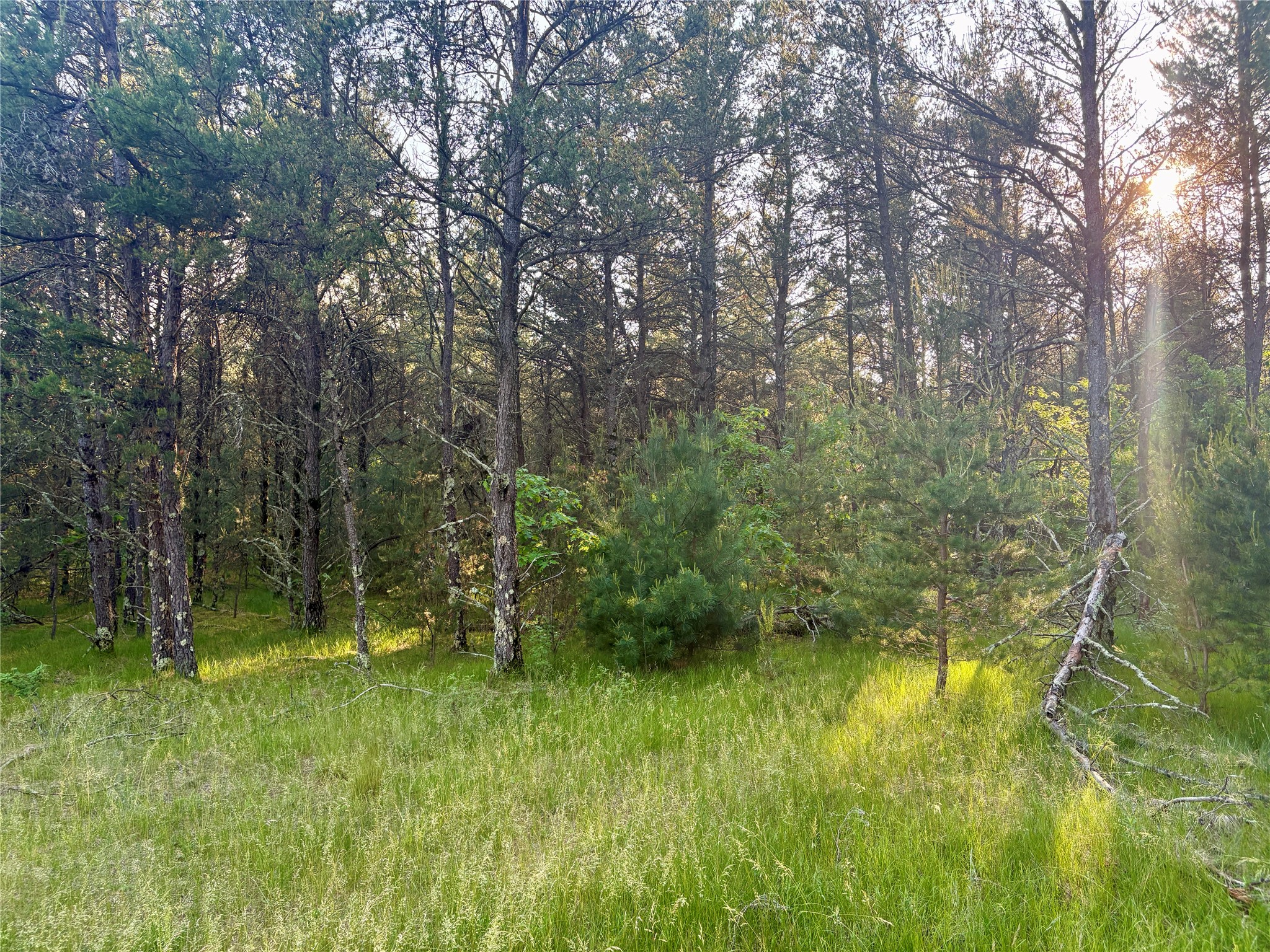 0 County Road Gg Augusta WI 54722 1602176 image33