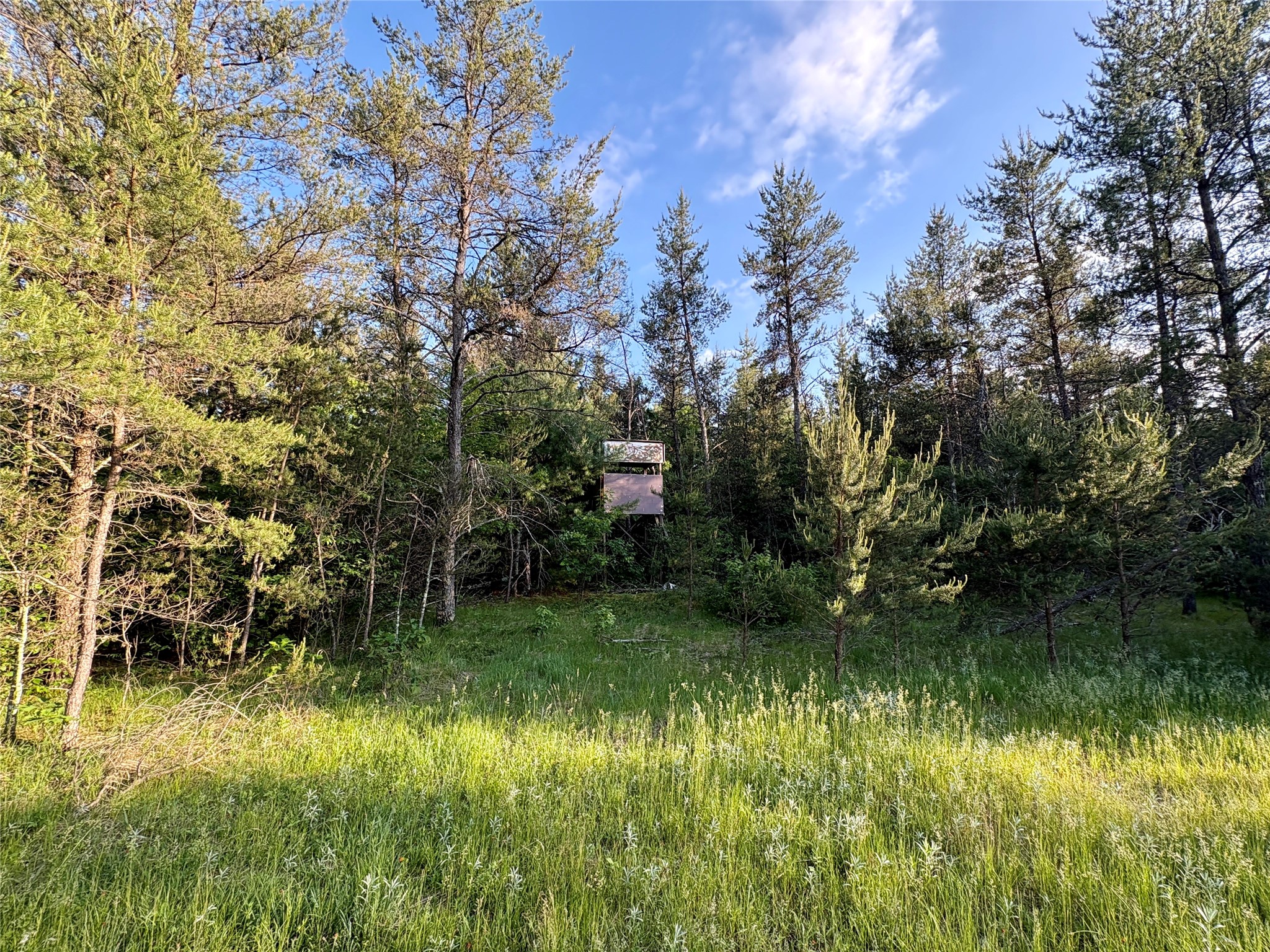 0 County Road Gg Augusta WI 54722 1602176 image37
