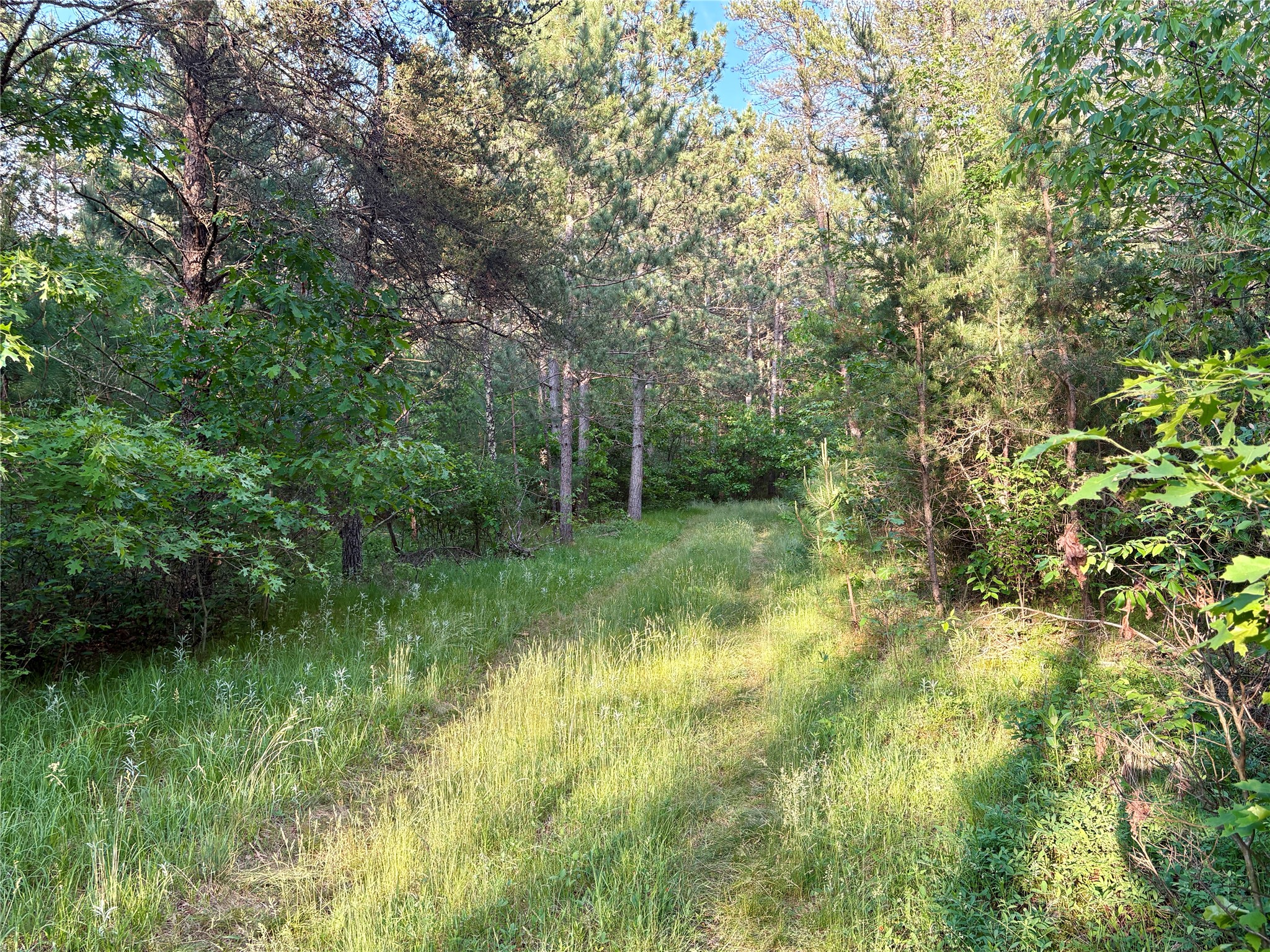 0 County Road Gg Augusta WI 54722 1602176 image44
