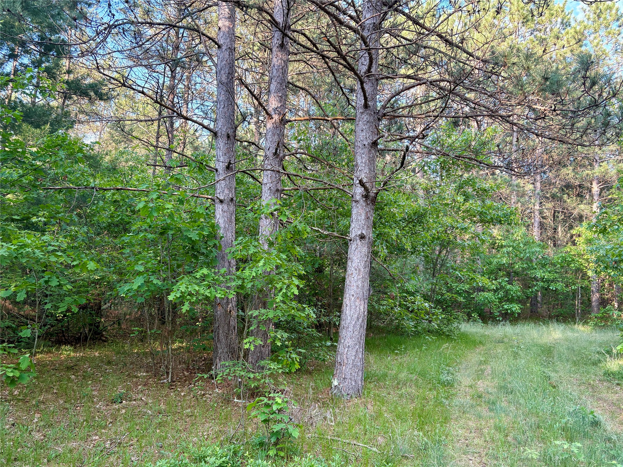 0 County Road Gg Augusta WI 54722 1602176 image45