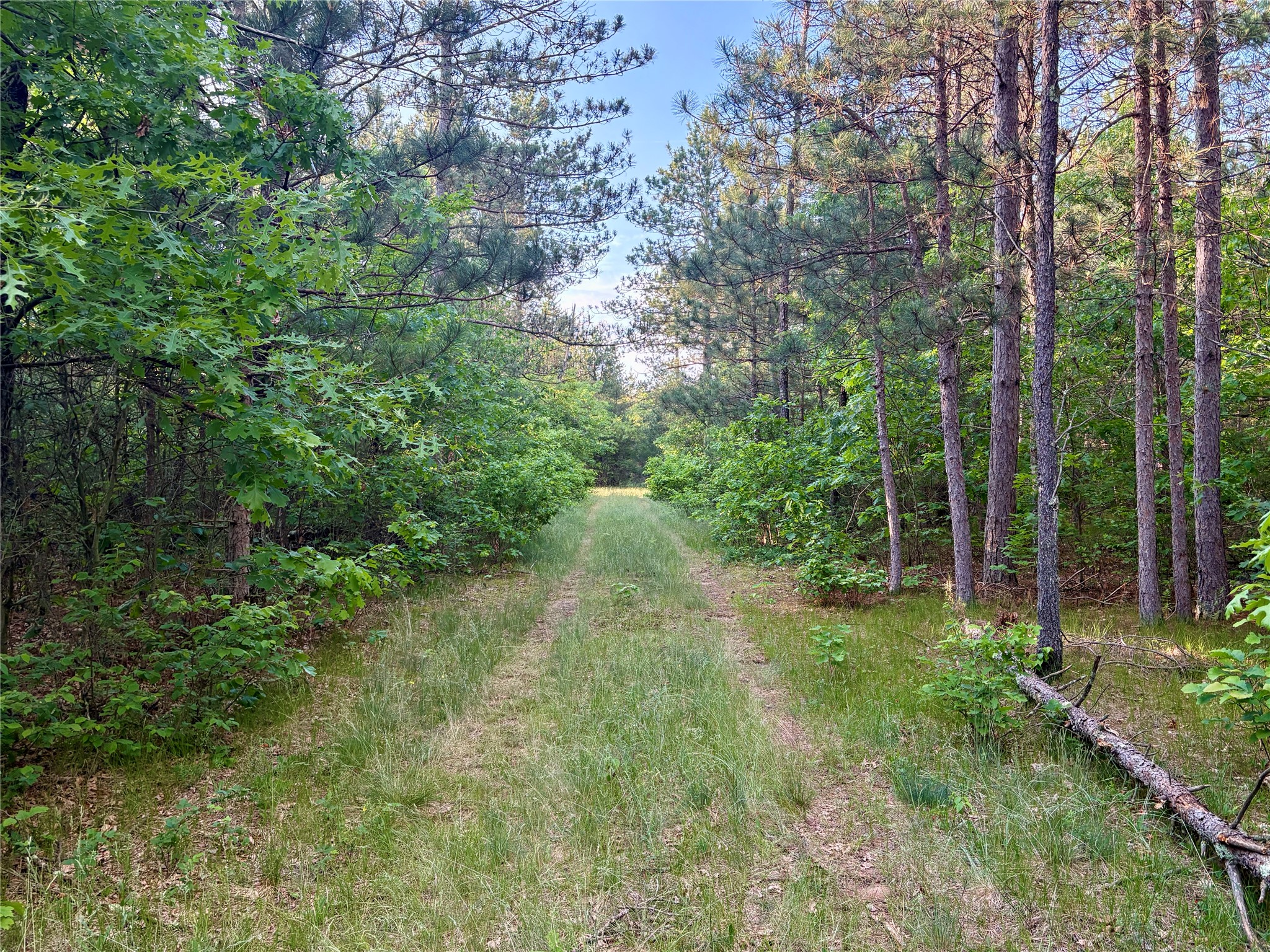 0 County Road Gg Augusta WI 54722 1602176 image46