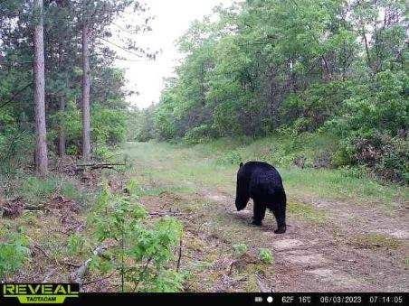 0 County Road Gg Augusta WI 54722 1602176 image49