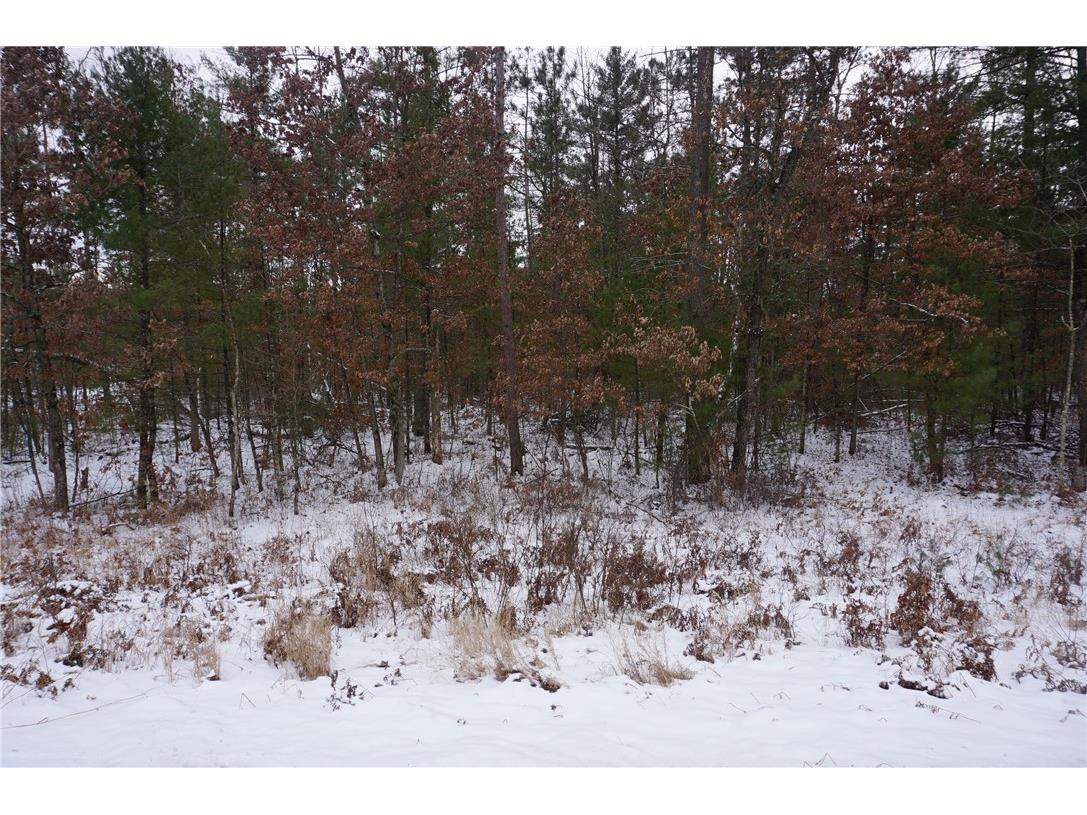 0 County Road K Merrillan WI 54754 1588865 image1