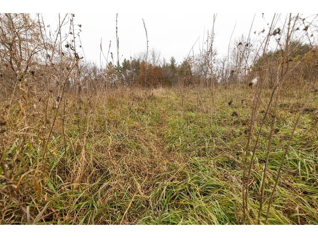 0 County Road O Osseo WI 54758 - Elk Creek 1597126 image22
