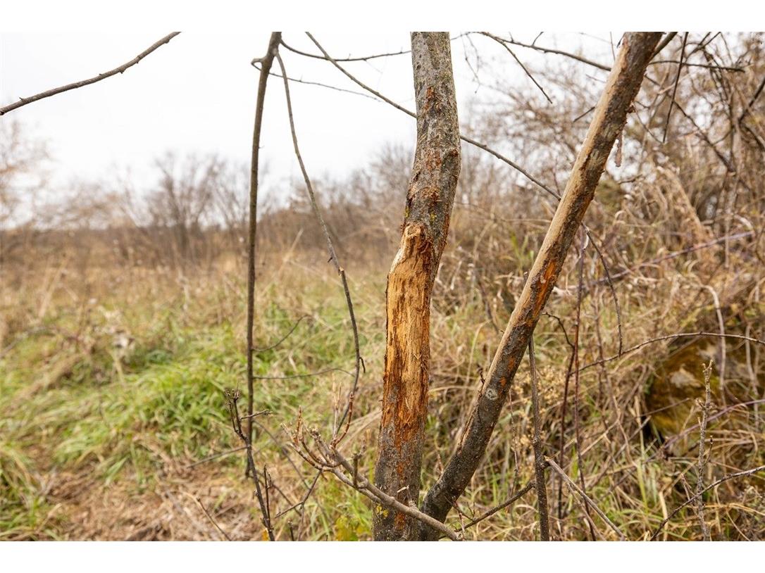 0 County Road O Osseo WI 54758 - Elk Creek 1597126 image26