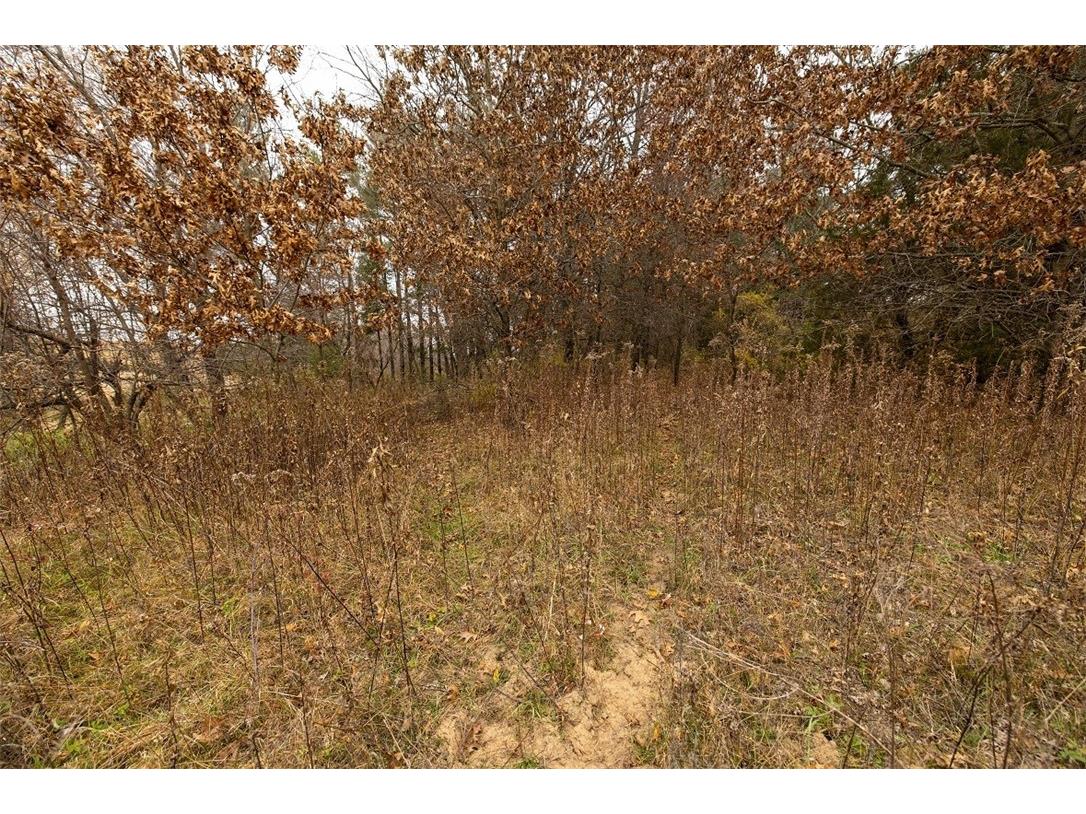 0 County Road O Osseo WI 54758 - Elk Creek 1597126 image28