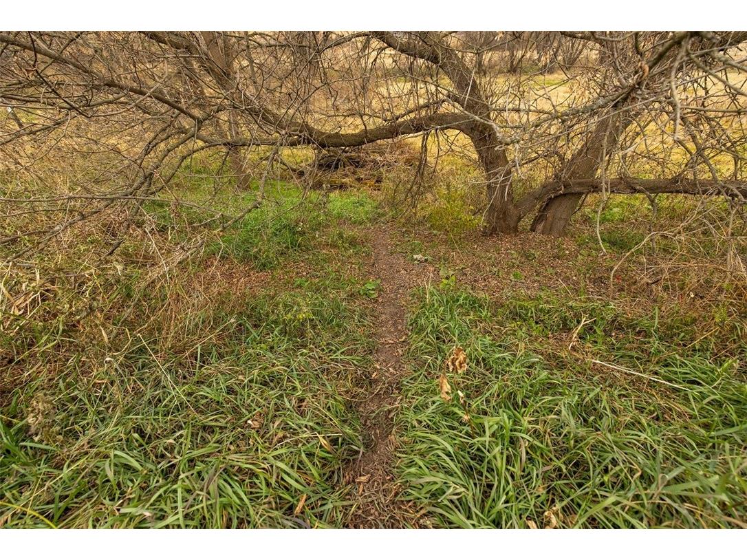 0 County Road O Osseo WI 54758 - Elk Creek 1597126 image29