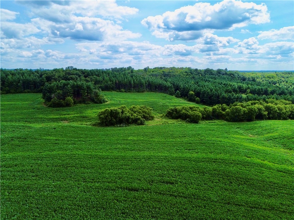 0 County Road Oo Osseo WI 54758 1587725 image1