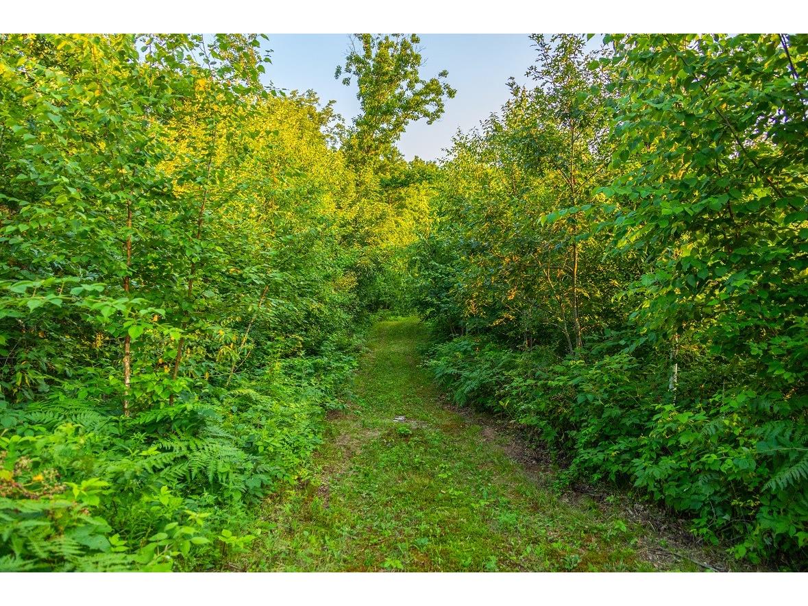 0 County Road S Blair WI 54616 1600049 image36