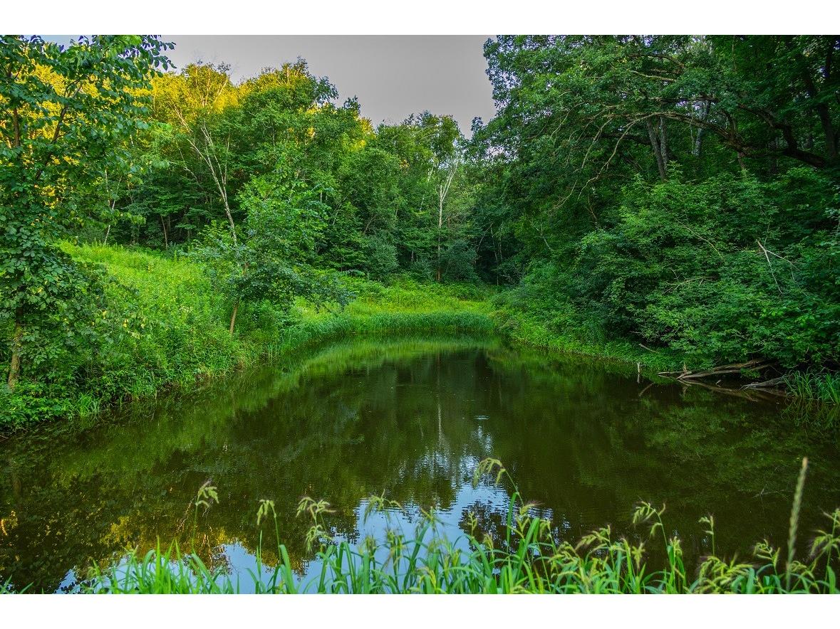 0 County Road S Blair WI 54616 1600057 image13