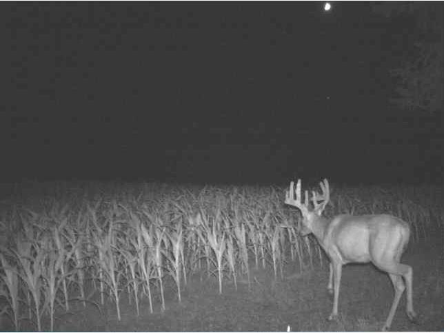 0 County Road S Blair WI 54616 1600057 image28