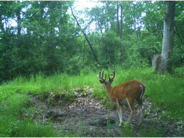 0 County Road S Blair WI 54616 1600057 image6