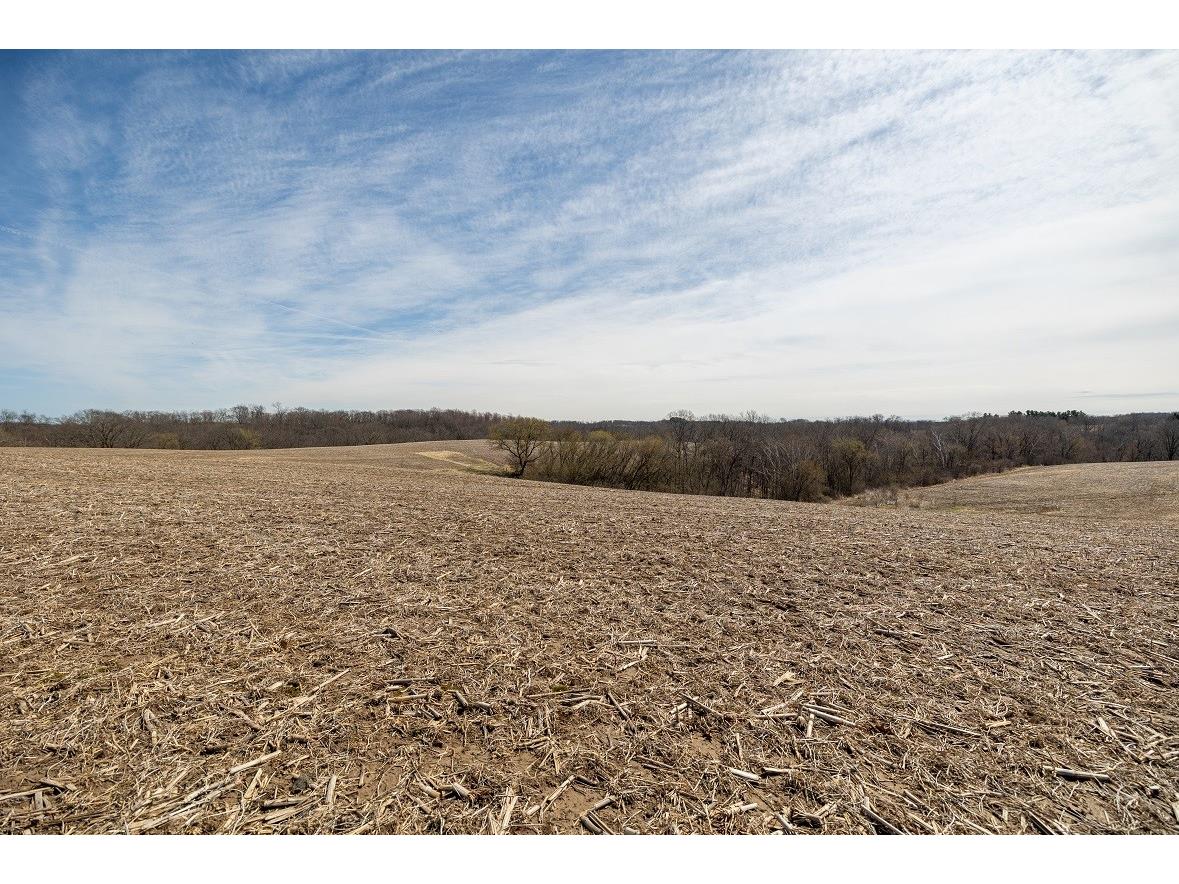 0 County Road S Blair WI 54616 1600146 image11
